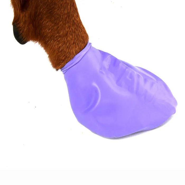 Pawz Large FINAL SALE