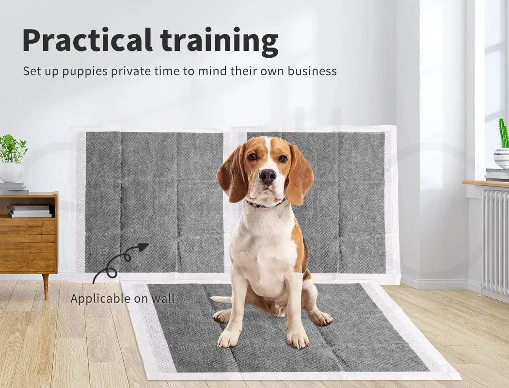 PaWz Pet Toilet Training Pads Ultra Absorbent