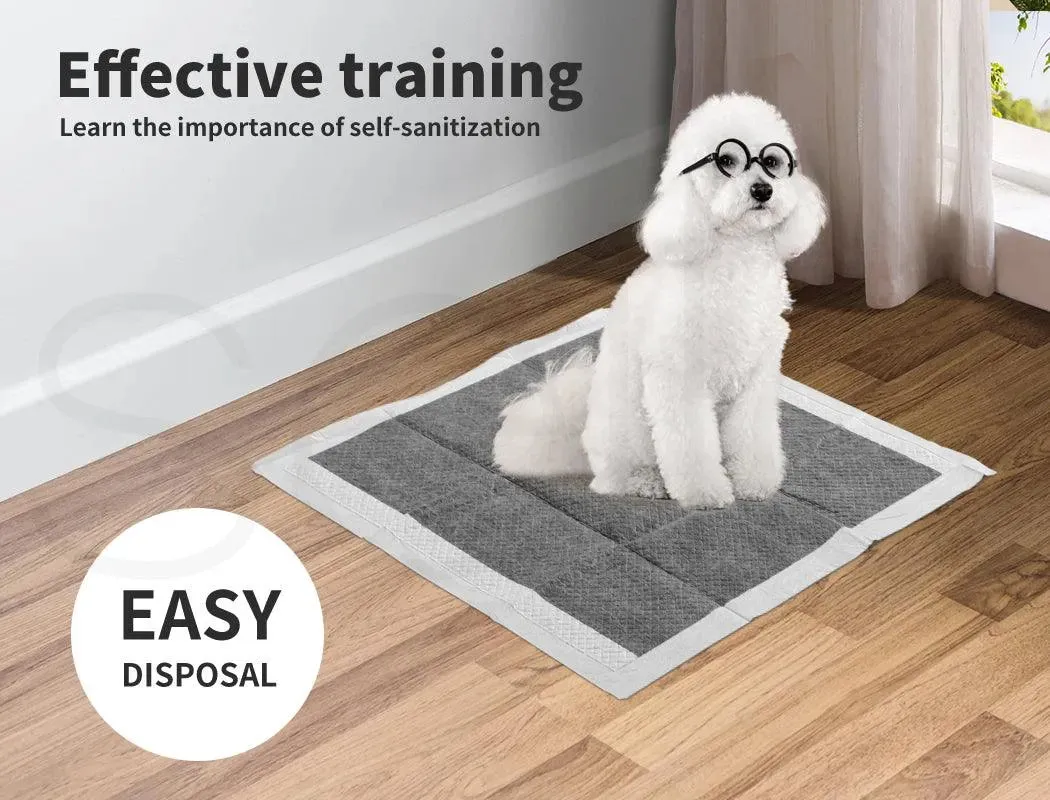 PaWz Pet Toilet Training Pads Ultra Absorbent