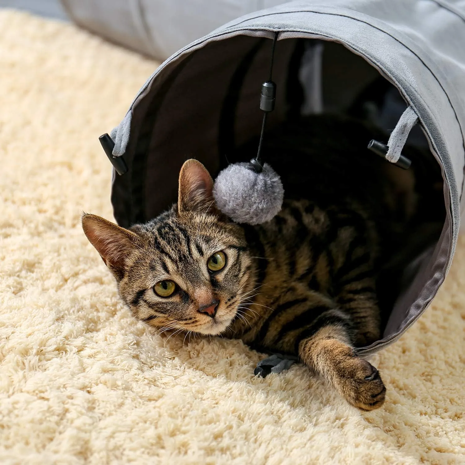 PAWZ Road Cat Tunnel Collapsible 3 Way Cat Play Tube 10.5 Inches in Diameter