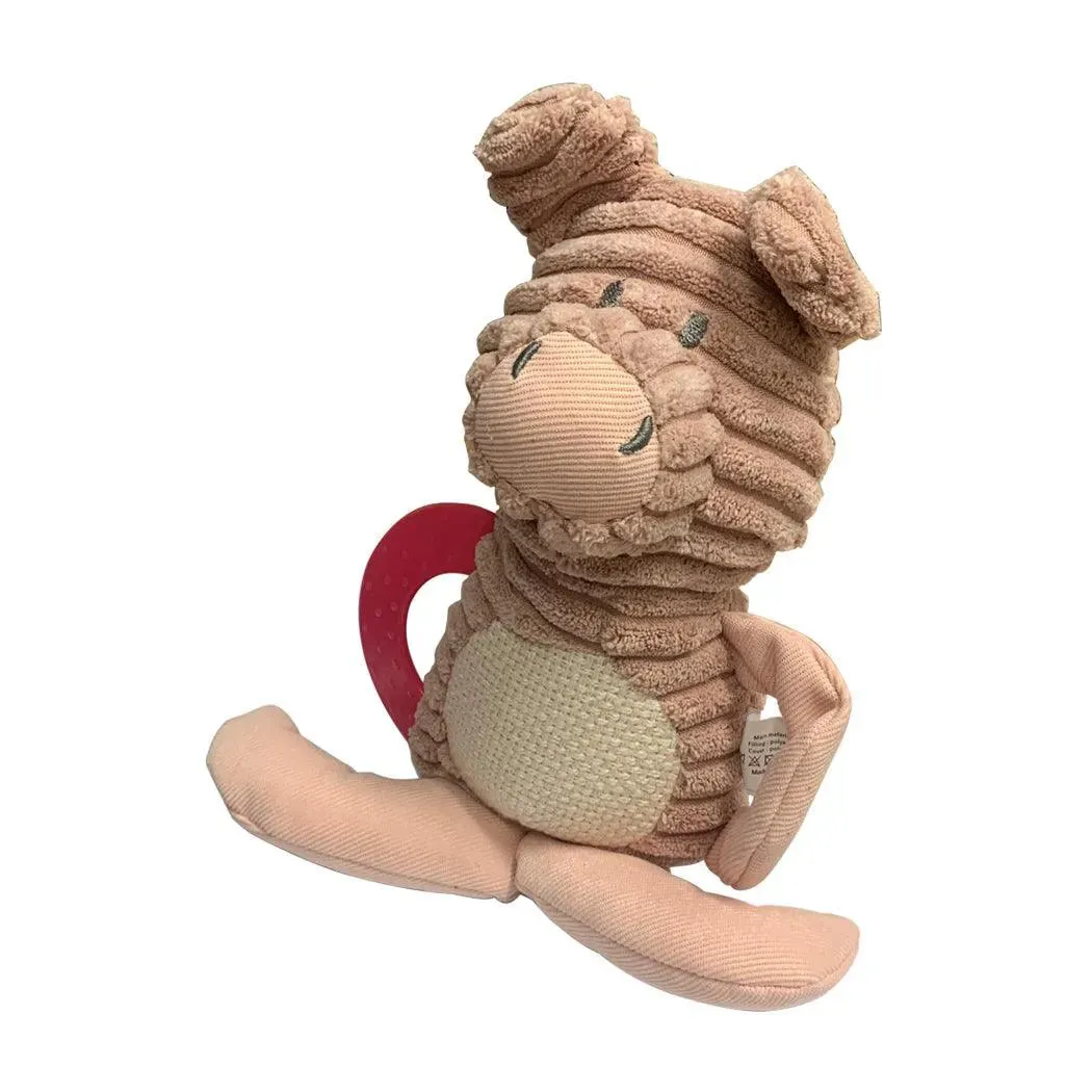 PaWz Toy Piggy Dog Toy