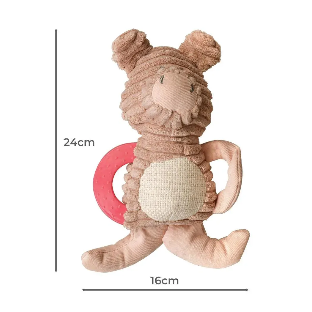 PaWz Toy Piggy Dog Toy