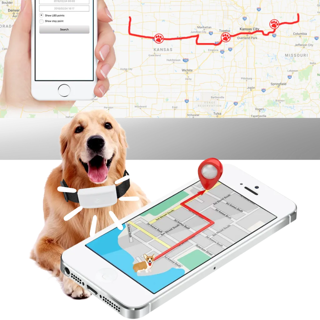 Pet GPS Tracking Collar