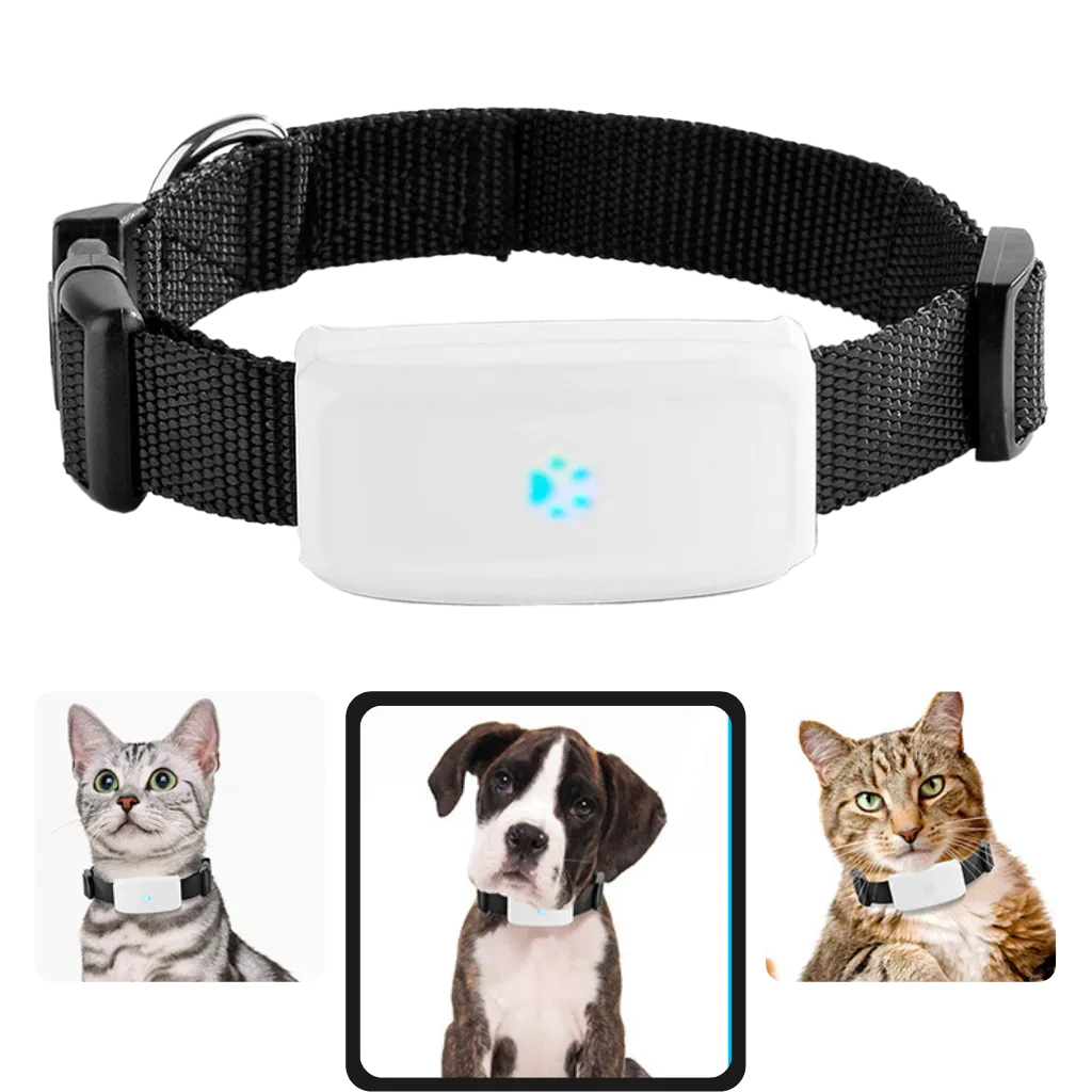 Pet GPS Tracking Collar