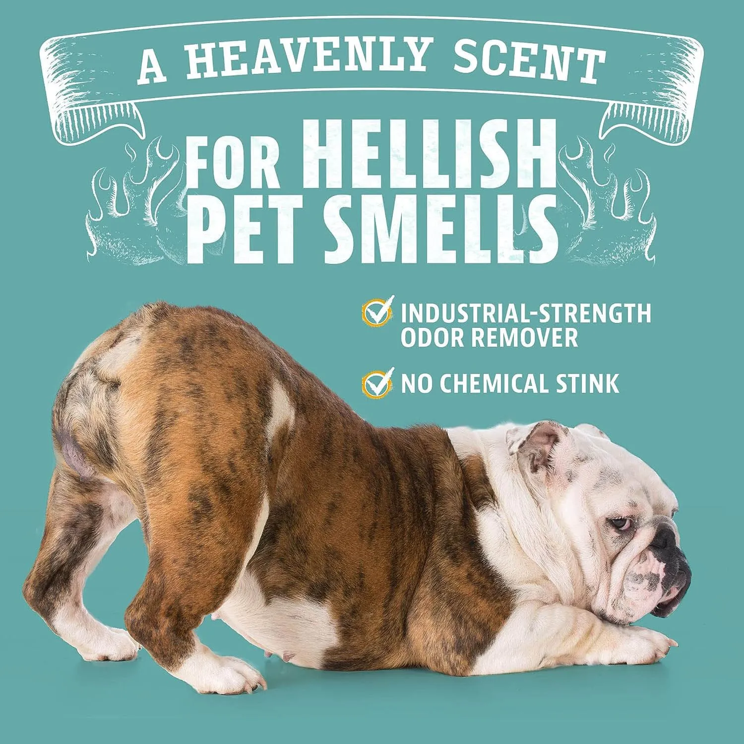 Pet Odor Eliminator Concentrate
