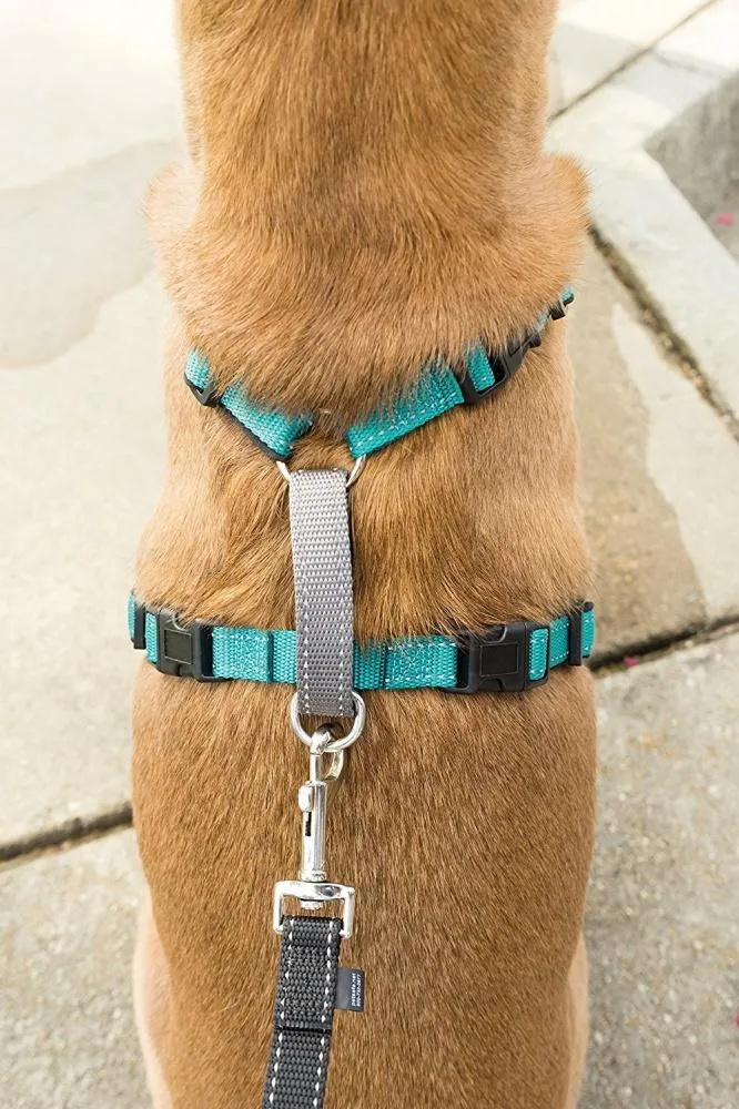 PetSafe 3 in 1 Teal Dog Harness (Small)