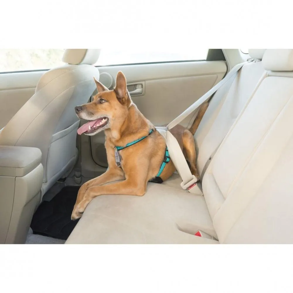 PetSafe 3 in 1 Teal Dog Harness (Small)