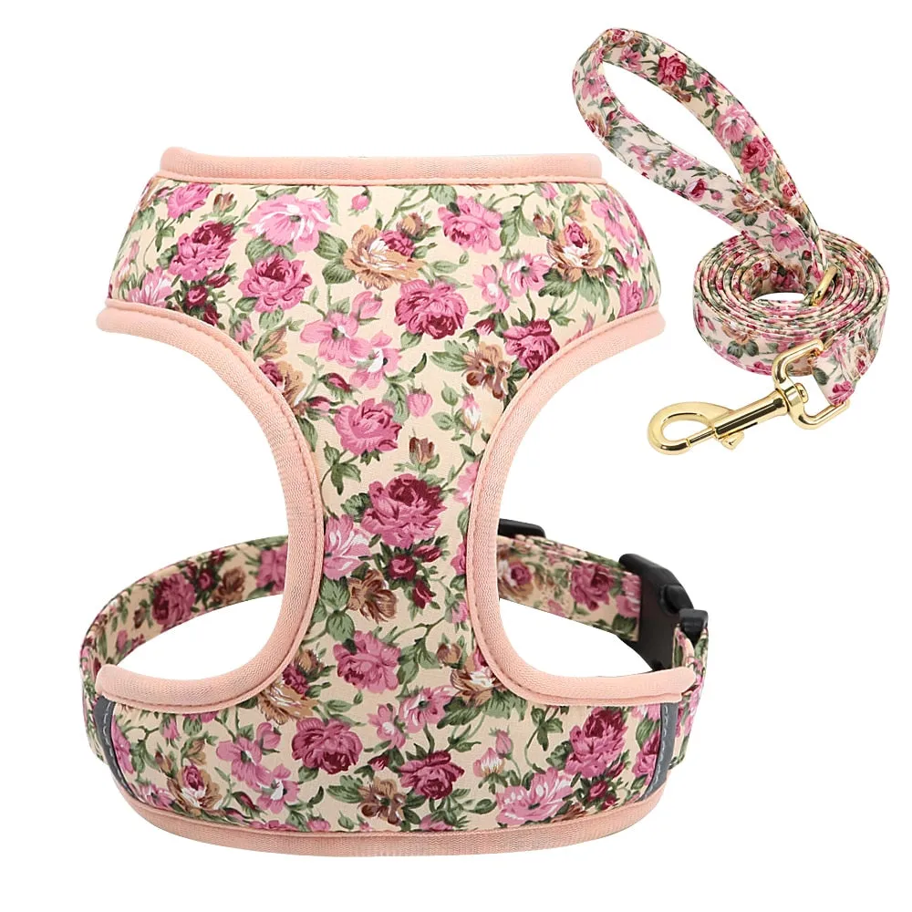Printed Dog Harness Leash Set | Soft Mesh | Adjustable Walking Lead