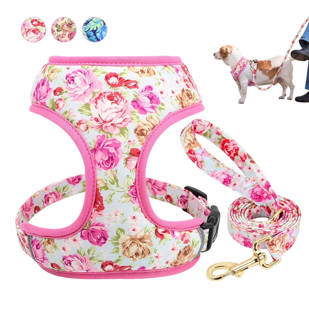 Printed Dog Harness Leash Set | Soft Mesh | Adjustable Walking Lead