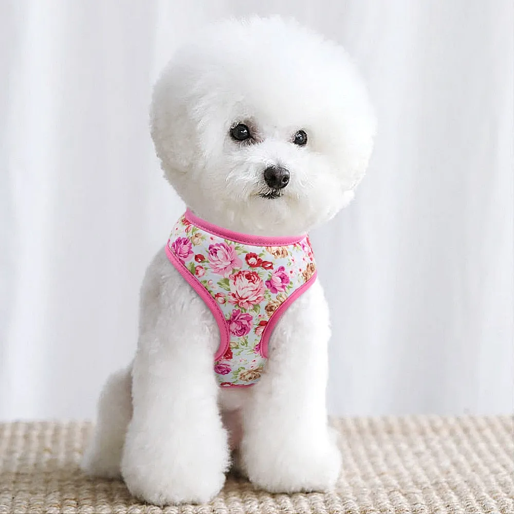 Printed Dog Harness Leash Set | Soft Mesh | Adjustable Walking Lead