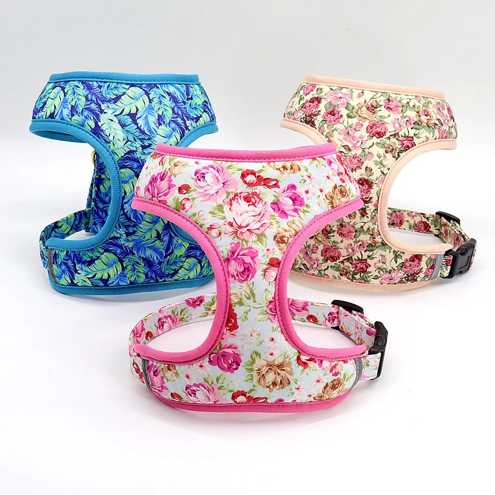 Printed Dog Harness Leash Set | Soft Mesh | Adjustable Walking Lead