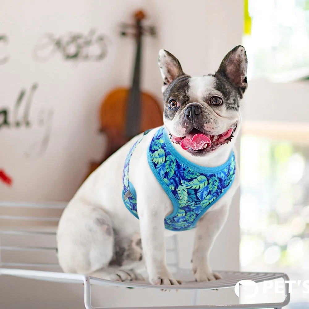 Printed Dog Harness Leash Set | Soft Mesh | Adjustable Walking Lead