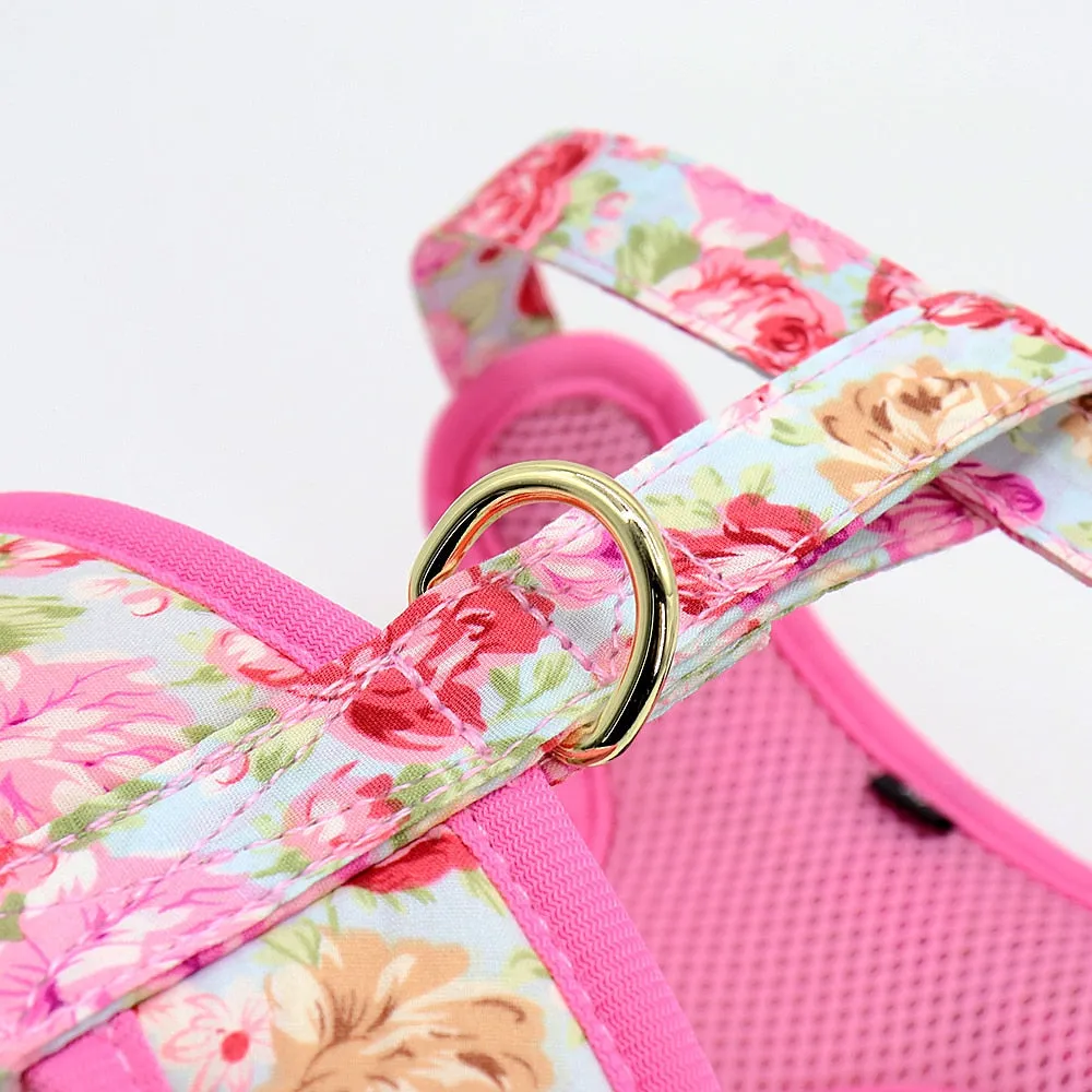 Printed Dog Harness Leash Set | Soft Mesh | Adjustable Walking Lead