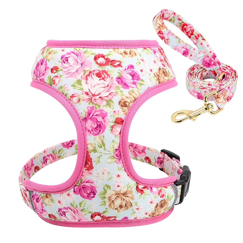 Printed Dog Harness Leash Set | Soft Mesh | Adjustable Walking Lead