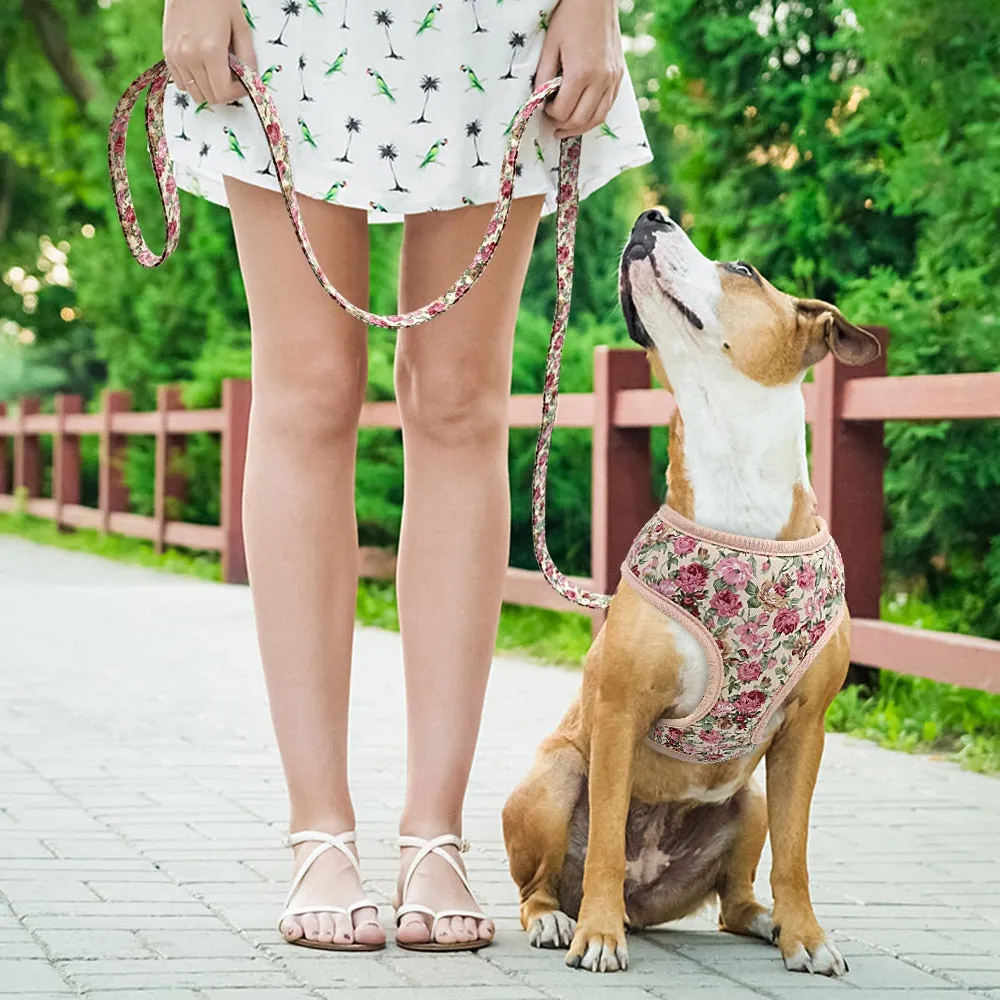 Printed Dog Harness Leash Set | Soft Mesh | Adjustable Walking Lead