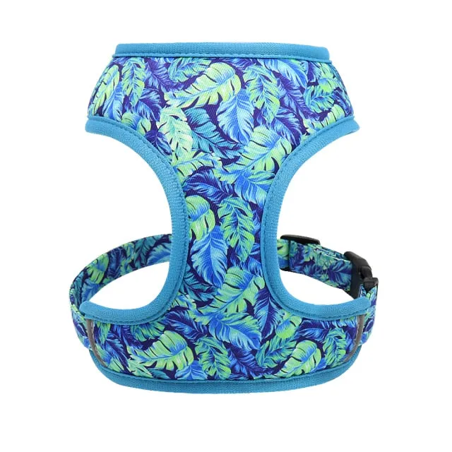 Printed Dog Harness Leash Set | Soft Mesh | Adjustable Walking Lead