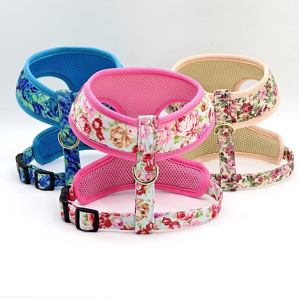 Printed Dog Harness Leash Set | Soft Mesh | Adjustable Walking Lead