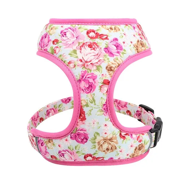 Printed Dog Harness Leash Set | Soft Mesh | Adjustable Walking Lead