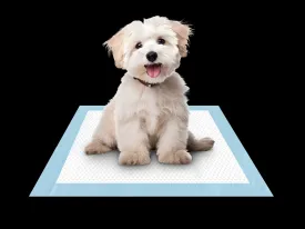 Puppy Pee Pads with 5-Layer Leak-Proof Design and Quick-Dry Surface with Odor-Control Carbon 17 x 24 Inch, 50 Pack