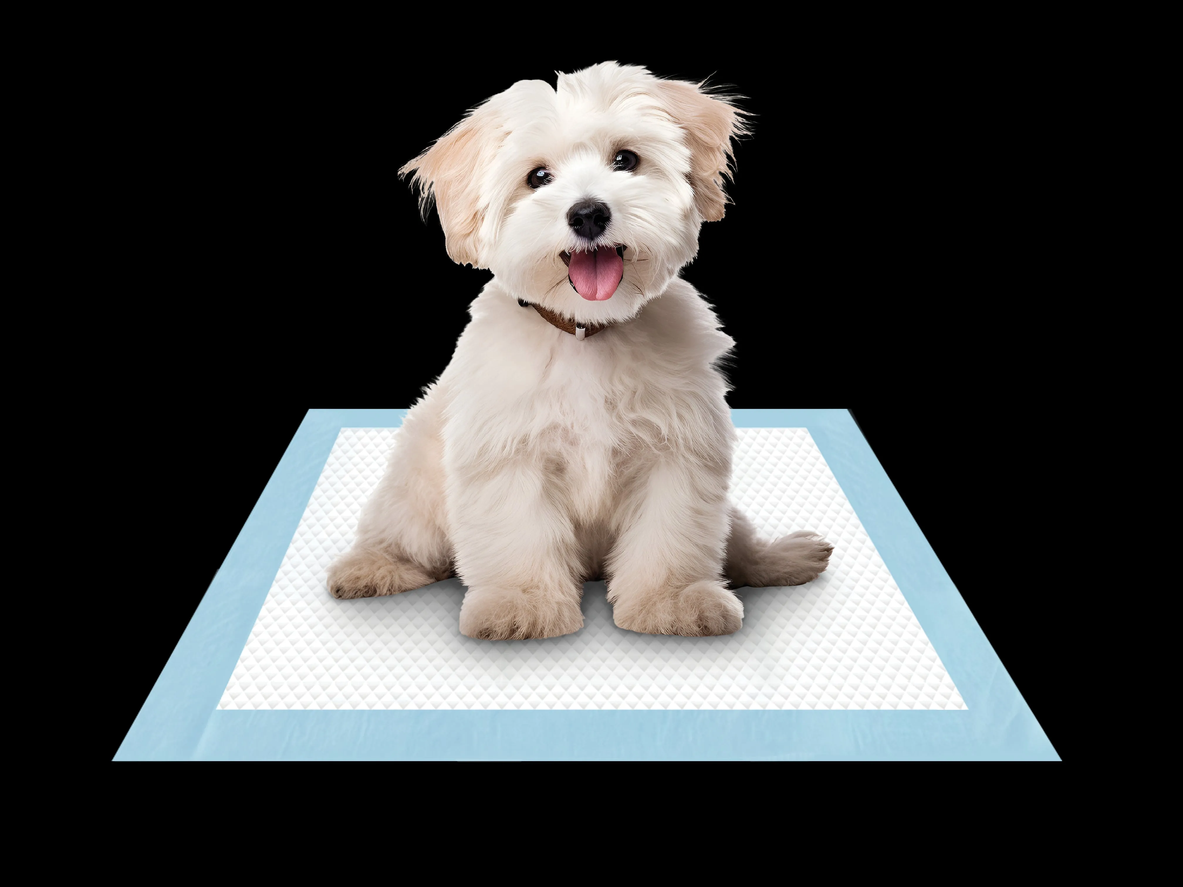 Puppy Pee Pads with 5-Layer Leak-Proof Design and Quick-Dry Surface with Odor-Control Carbon 17 x 24 Inch, 50 Pack