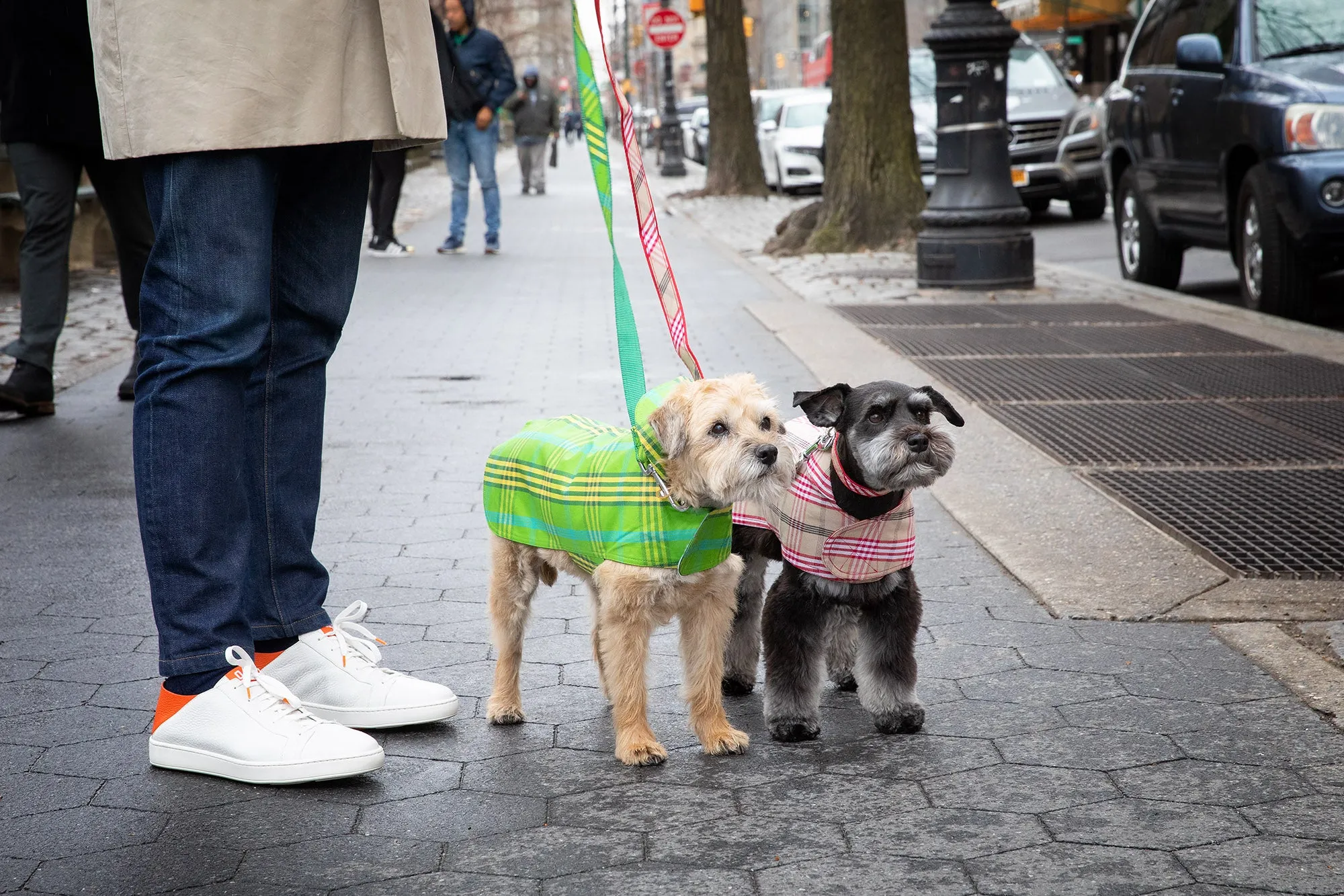 Signature Plaid Collar - 5 Color Options