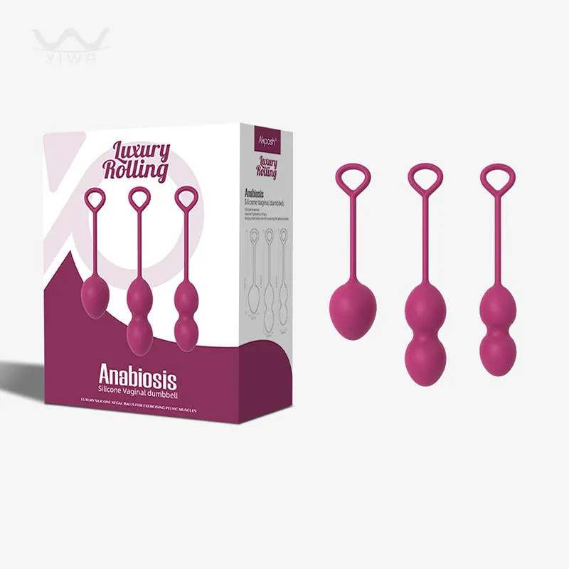 Silicone ben wa balls exercises Vaginal Dumbbell kegel Balls for women