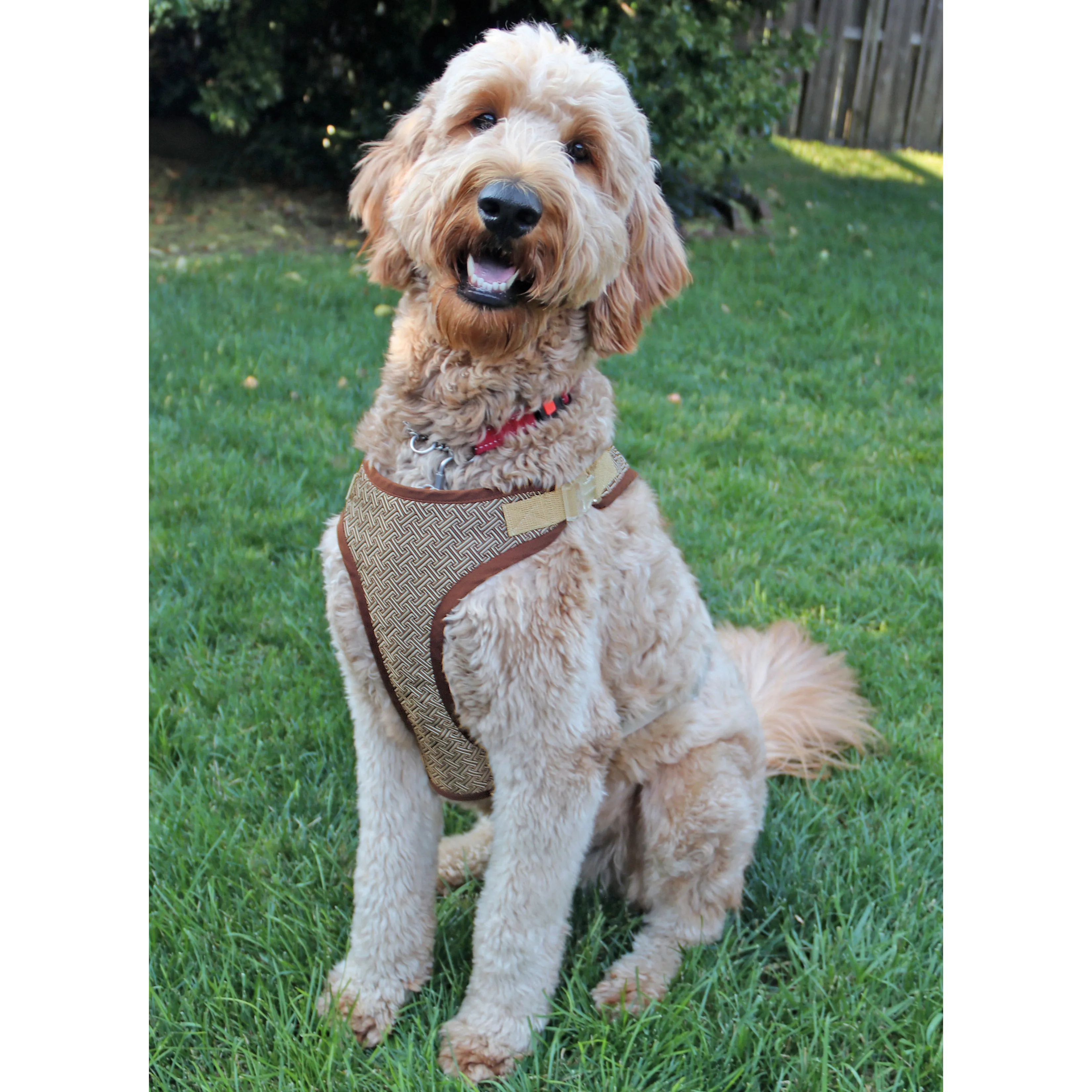 Simplicity pattern 9664 Dog Harness in Sizes S-M-L and Lead