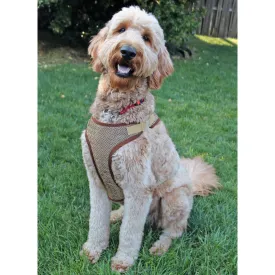 Simplicity pattern 9664 Dog Harness in Sizes S-M-L and Lead
