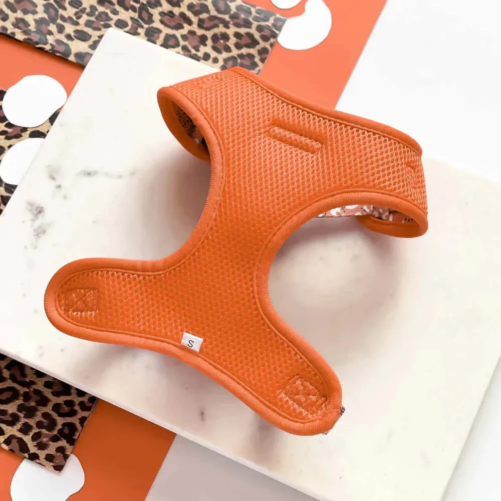 Stay Wild Adjustable Neck Harnesses
