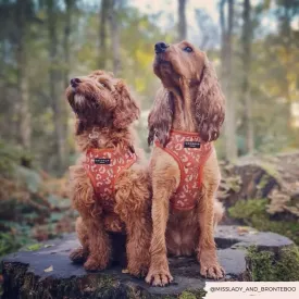 Stay Wild Adjustable Neck Harnesses