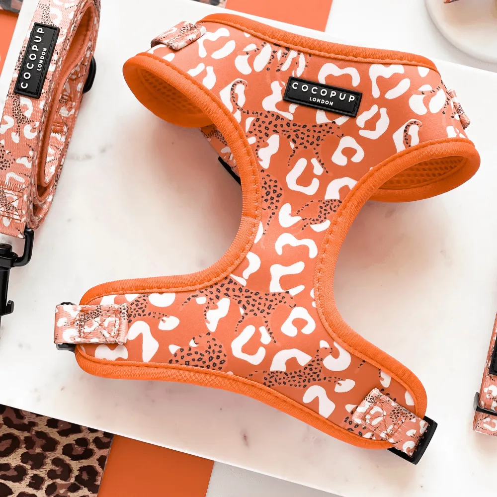 Stay Wild Adjustable Neck Harnesses