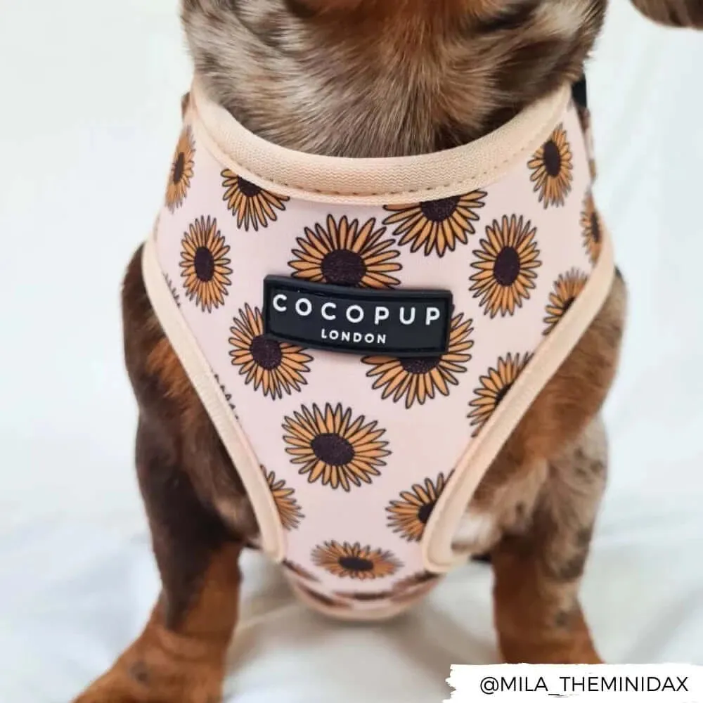 Sunflowers Adjustable Neck Harnesses