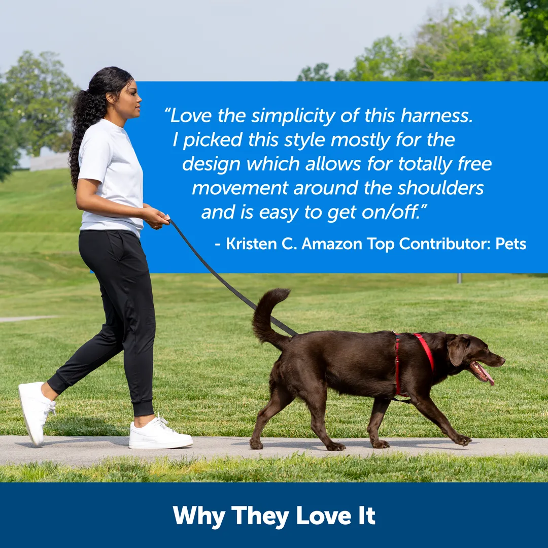 Sure-Fit Harness®