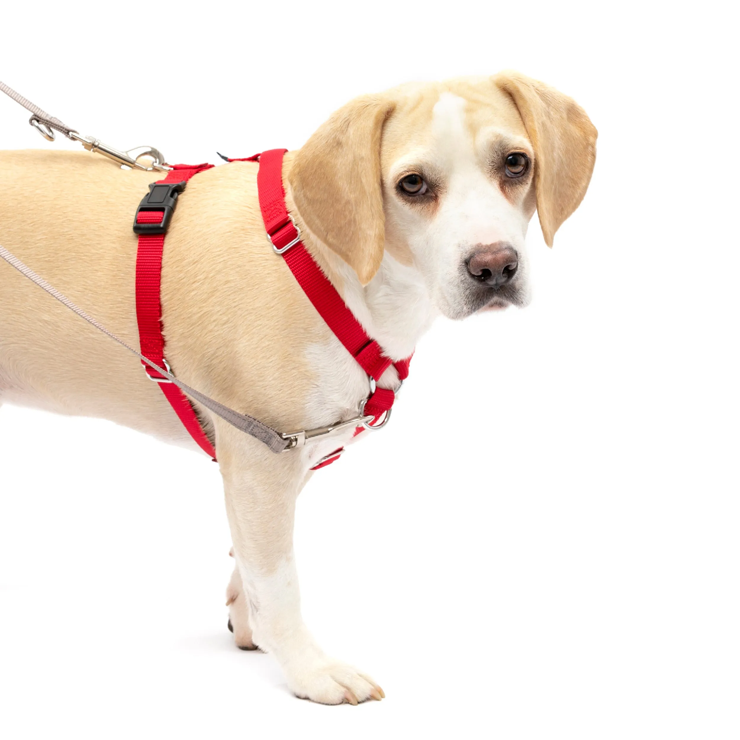 Sure-Fit Harness®