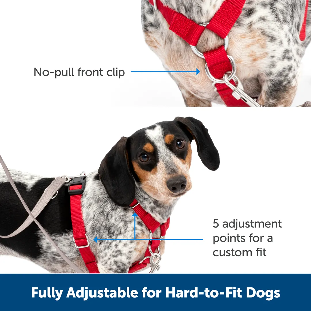 Sure-Fit Harness®